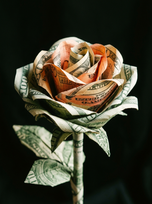 Картина "Currency Bloom" - фото №2