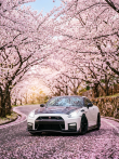 Картина "Blossom Velocity" - фото №2